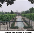 2-Cordoue