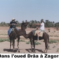 34-Oued-Draa-dromadaires