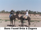 34-Oued-Draa-dromadaires