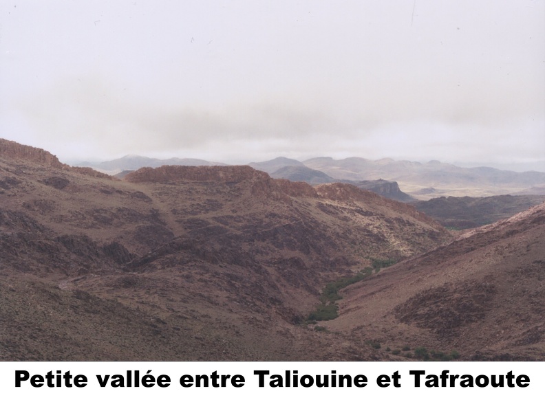 49-Vallee-Taliouine-Tafraoute.jpg