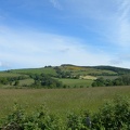 St Beauzely Vezins 09